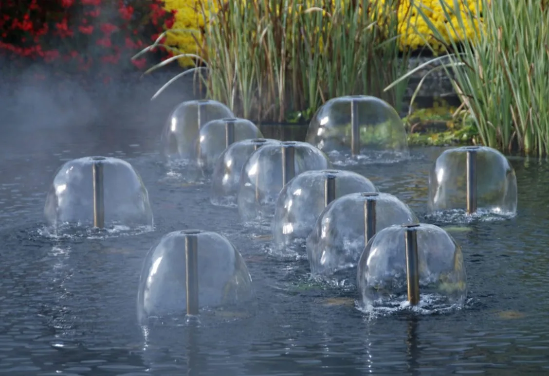 池の水面に透明なドーム型の噴水がいくつも並び、奥には葦と黄色い花が見える
